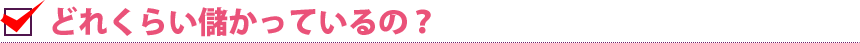 どれくらい儲かるの？